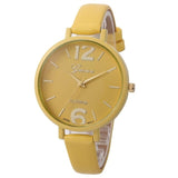 Geneva Women Watch